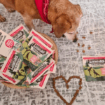snack per cani