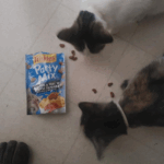 cibo per gatti