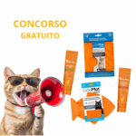 Kit per gattini