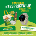 vinci gratis